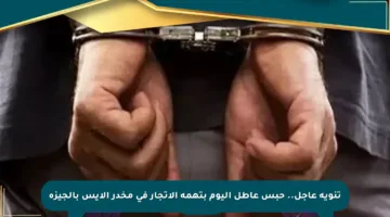 تنويه عاجل.. حبس عاطل اليوم بتهمة الاتجار في مخدر الأيس بالجيزة